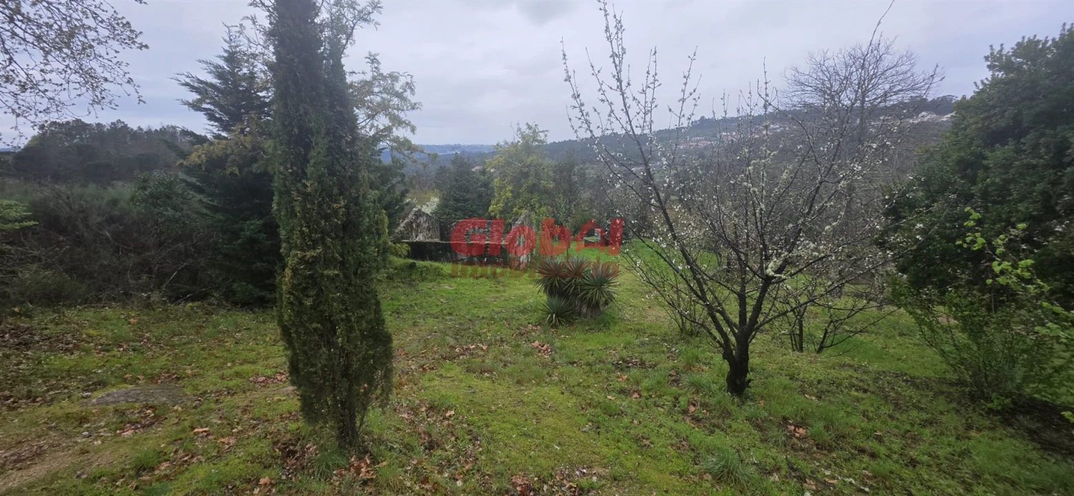 Quinta T0 para Venda em Fornos de Maceira Dão Foto 8