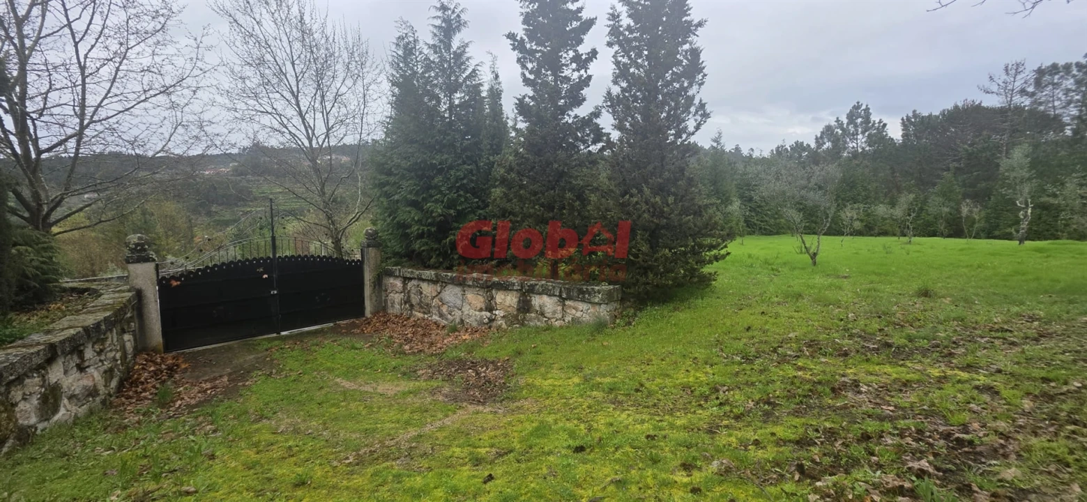 Quinta T0 para Venda em Fornos de Maceira Dão Foto 9
