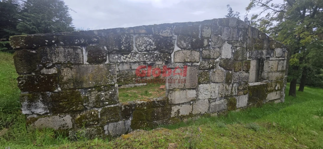 Quinta T0 para Venda em Fornos de Maceira Dão Foto 12
