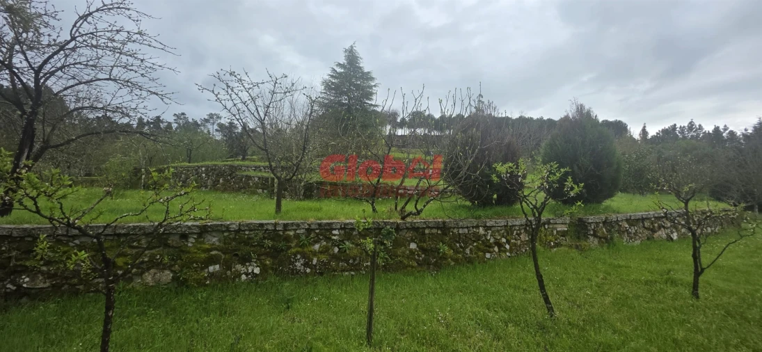 Quinta T0 para Venda em Fornos de Maceira Dão