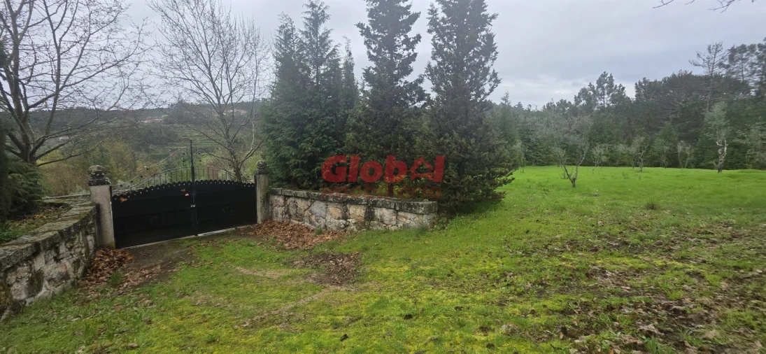 Quinta T0 para Venda em Fornos de Maceira Dão Foto 9