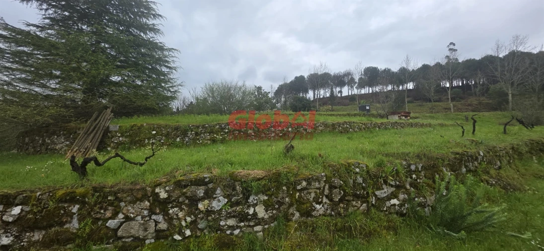 Quinta T0 para Venda em Fornos de Maceira Dão Foto 5