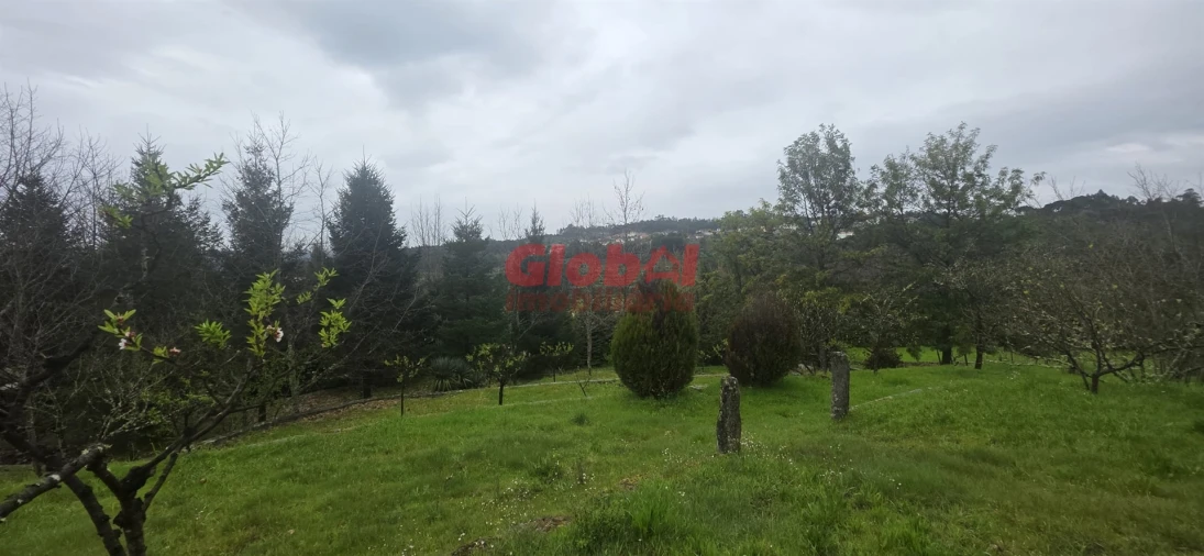 Quinta T0 para Venda em Fornos de Maceira Dão Foto 11