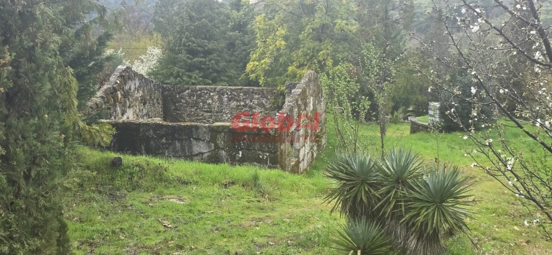 Quinta T0 para Venda em Fornos de Maceira Dão Foto 7