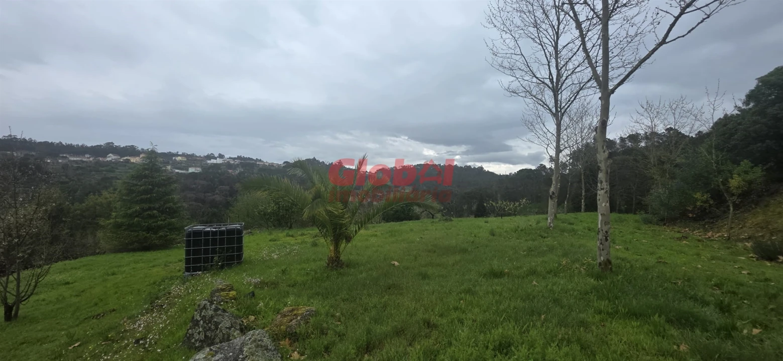 Quinta T0 para Venda em Fornos de Maceira Dão Foto 4