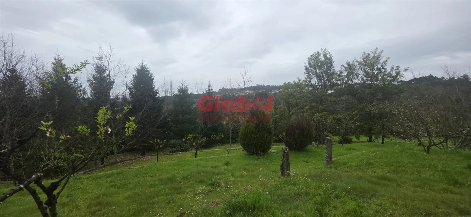 Quinta T0 para Venda em Fornos de Maceira Dão Foto 11
