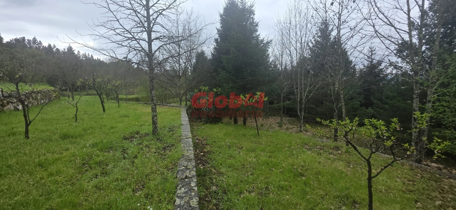Quinta T0 para Venda em Fornos de Maceira Dão Foto 3
