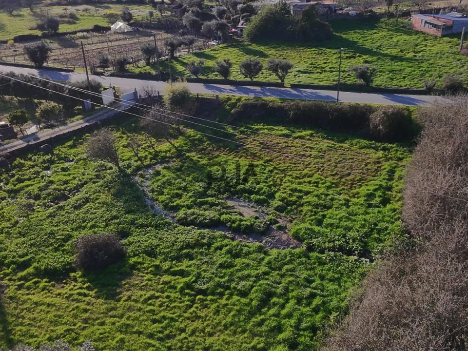 Terreno Agricola ou Rústico para Venda em Mangualde, Mesquitela e Cunha Alta Foto 1