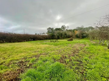 Terreno Agricola ou Rústico para Venda em Mangualde, Mesquitela e Cunha Alta