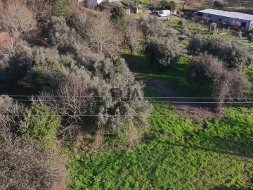 Terreno Agricola ou Rústico para Venda em Mangualde, Mesquitela e Cunha Alta
