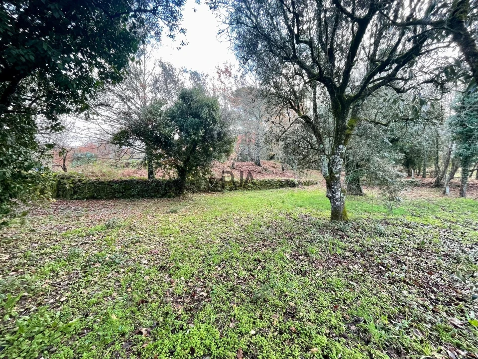 Terreno Agricola ou Rústico para Venda em Mangualde, Mesquitela e Cunha Alta Foto 3