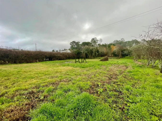 Terreno Agricola ou Rústico para Venda em Mangualde, Mesquitela e Cunha Alta Foto 2