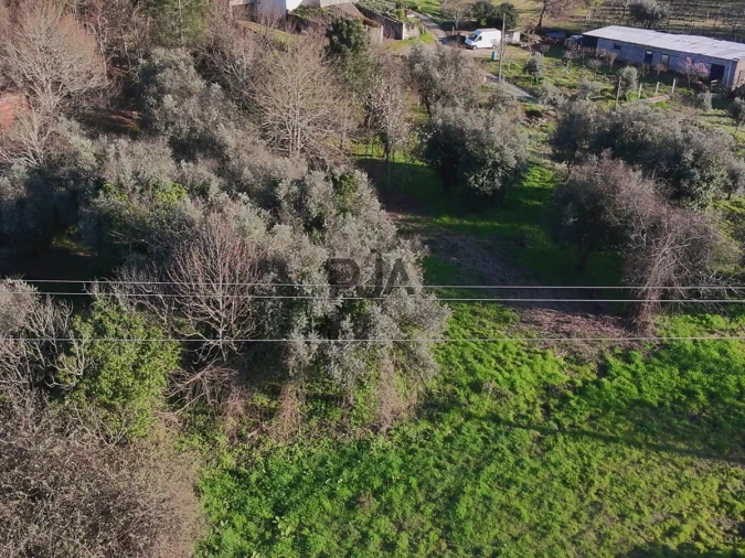 Terreno Agricola ou Rústico para Venda em Mangualde, Mesquitela e Cunha Alta Foto 13