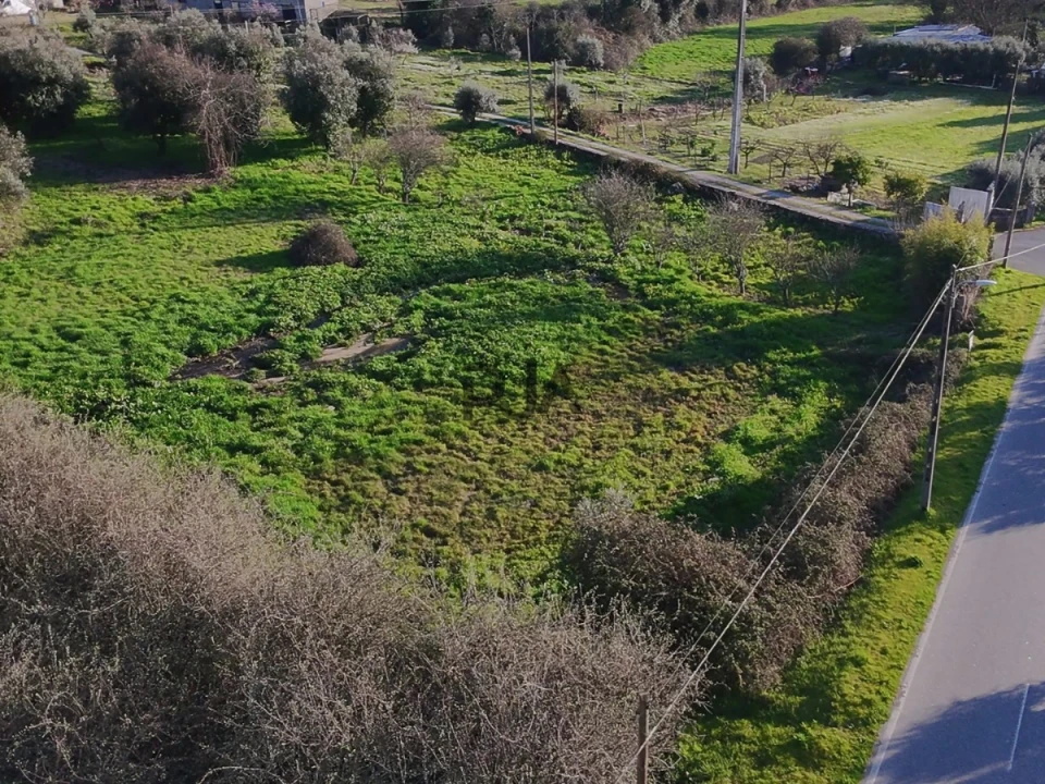 Terreno Agricola ou Rústico para Venda em Mangualde, Mesquitela e Cunha Alta Foto 12