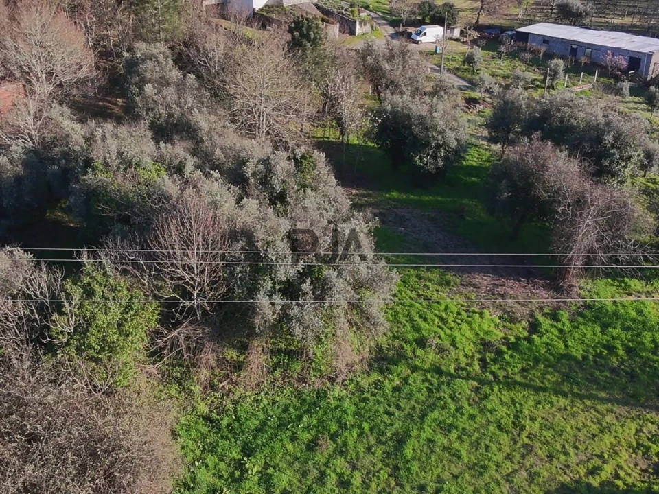 Terreno Agricola ou Rústico para Venda em Mangualde, Mesquitela e Cunha Alta Foto 13