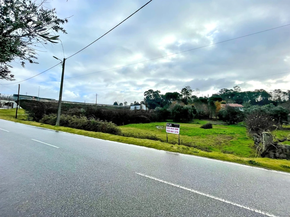 Terreno Agricola ou Rústico para Venda em Mangualde, Mesquitela e Cunha Alta Foto 11