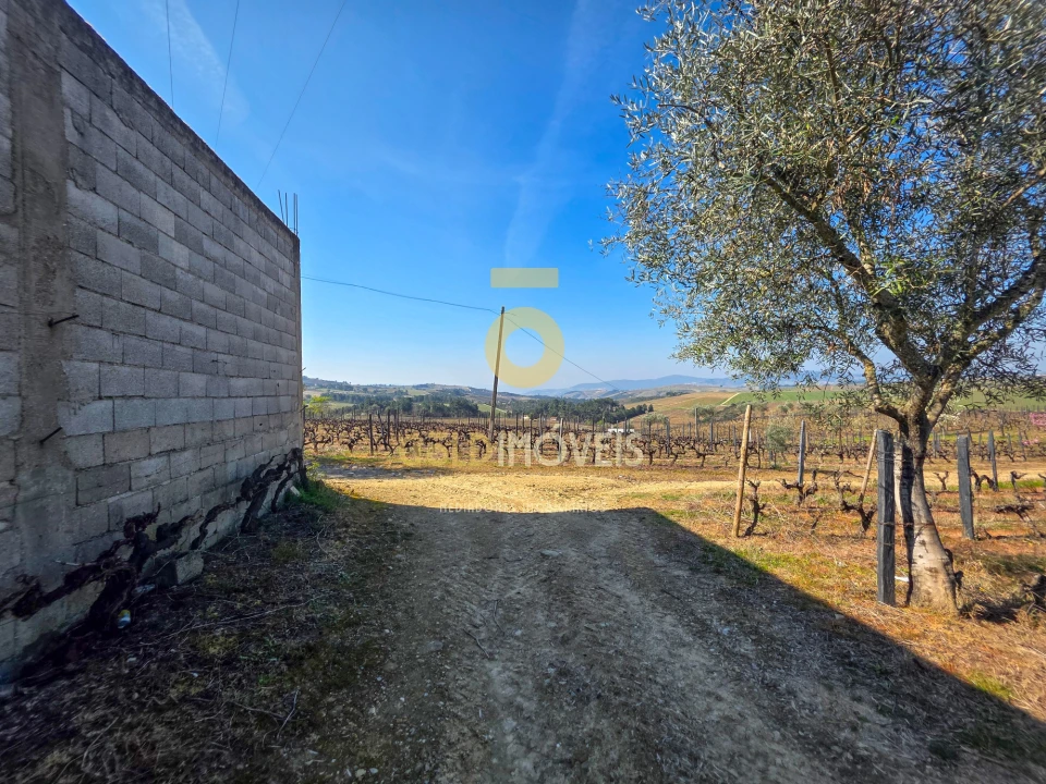 Quinta T0 para Venda em Castedo e Cotas Foto 6