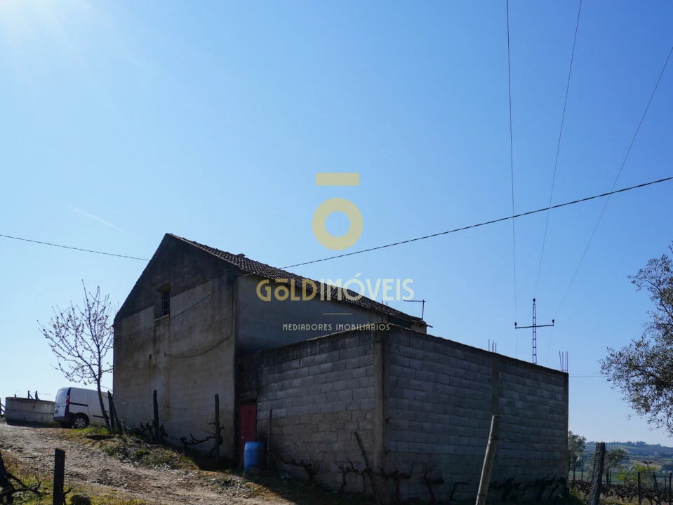 Quinta T0 para Venda em Castedo e Cotas Foto 15