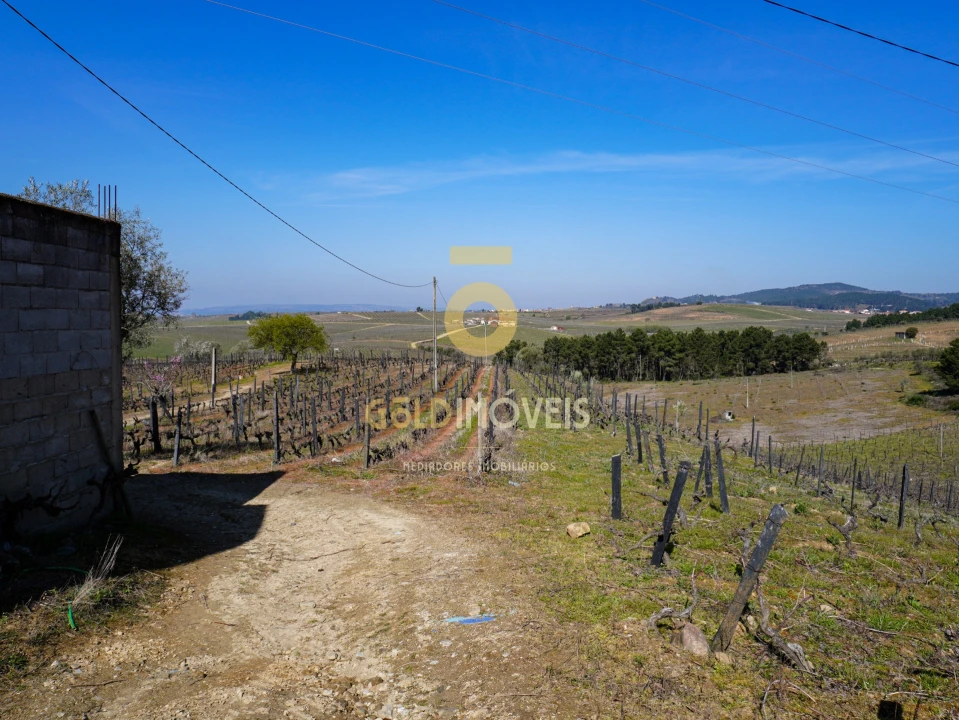 Quinta T0 para Venda em Castedo e Cotas Foto 20