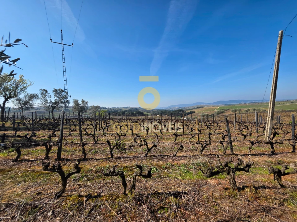 Quinta T0 para Venda em Castedo e Cotas Foto 1