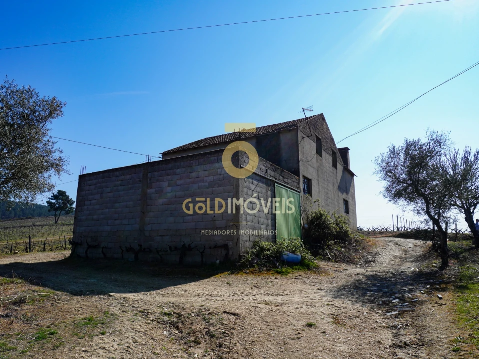 Quinta T0 para Venda em Castedo e Cotas Foto 17