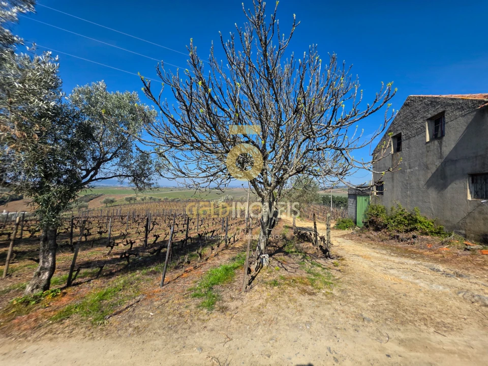 Quinta T0 para Venda em Castedo e Cotas Foto 11