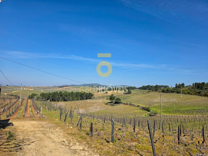 Quinta T0 para Venda em Castedo e Cotas Foto 13