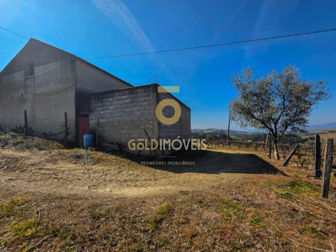 Quinta T0 para Venda em Castedo e Cotas Foto 5