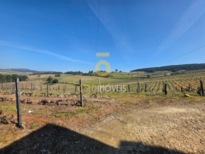 Quinta T0 para Venda em Castedo e Cotas Foto 9