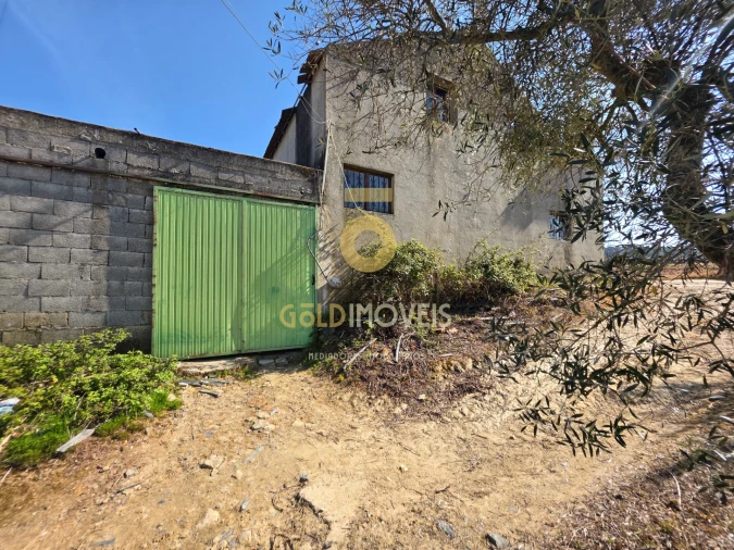 Quinta T0 para Venda em Castedo e Cotas Foto 7