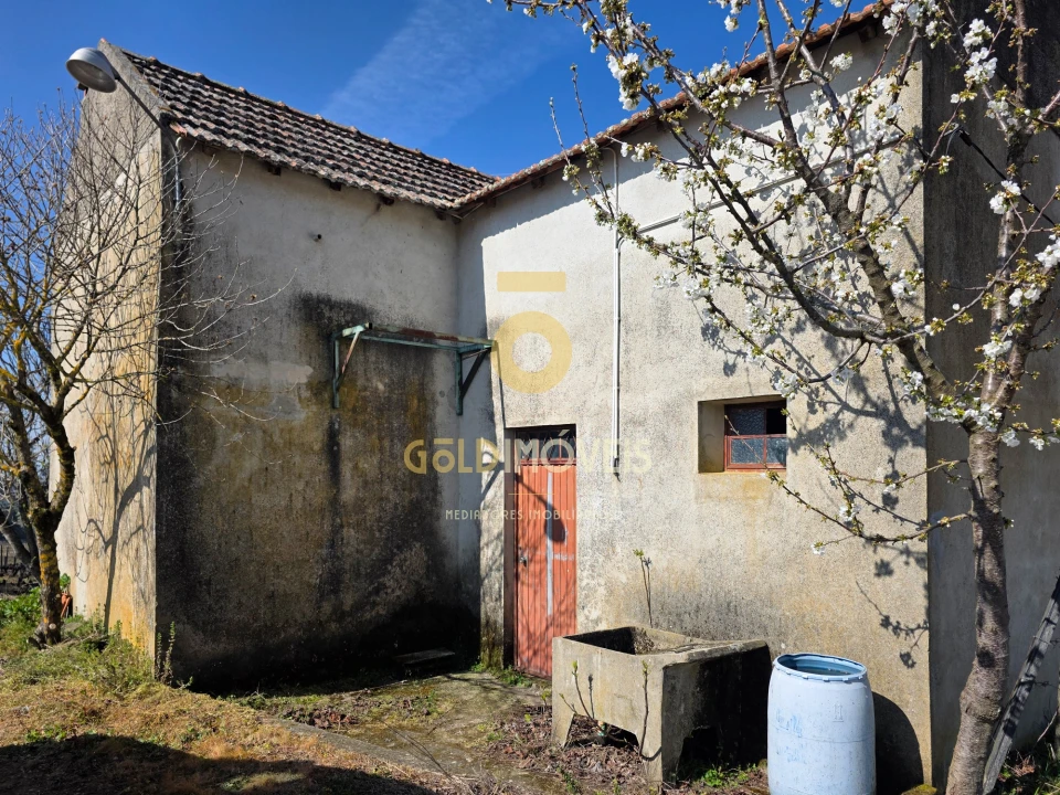 Quinta T0 para Venda em Castedo e Cotas Foto 8