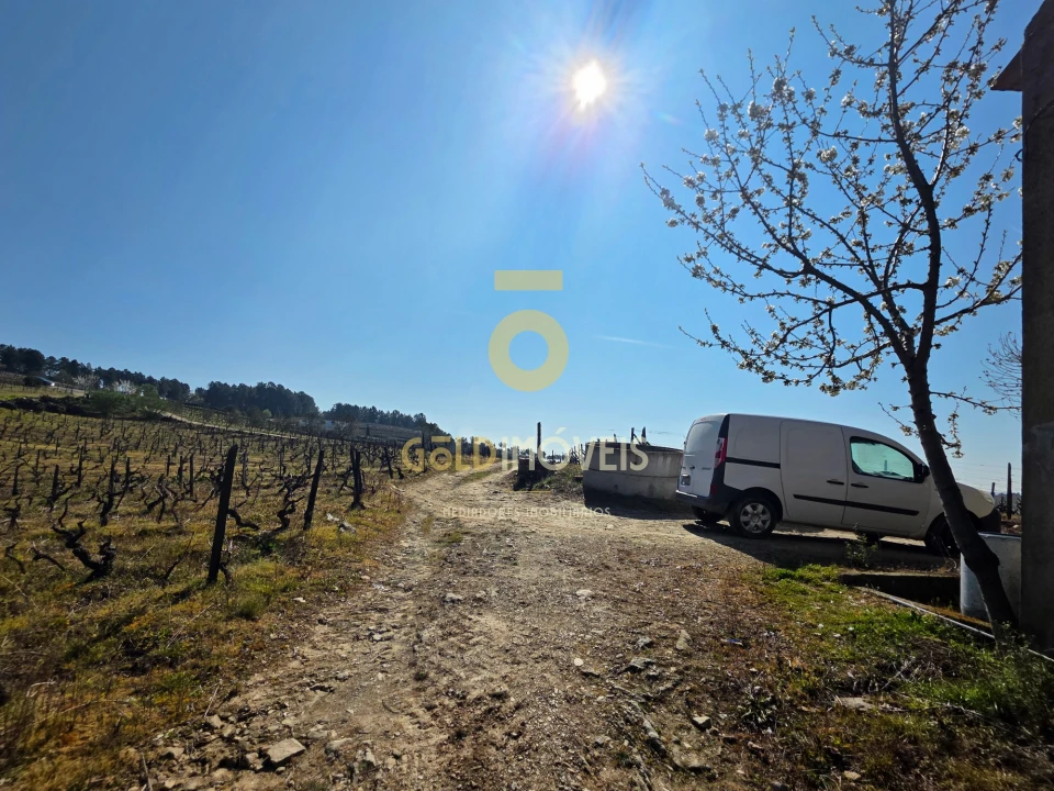 Quinta T0 para Venda em Castedo e Cotas Foto 10