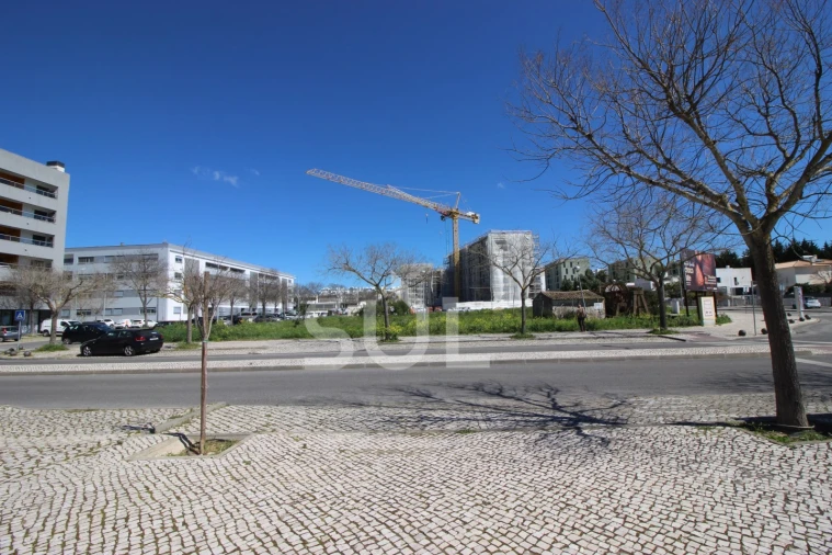 Terreno para Venda em Loule (São Clemente) Foto 10