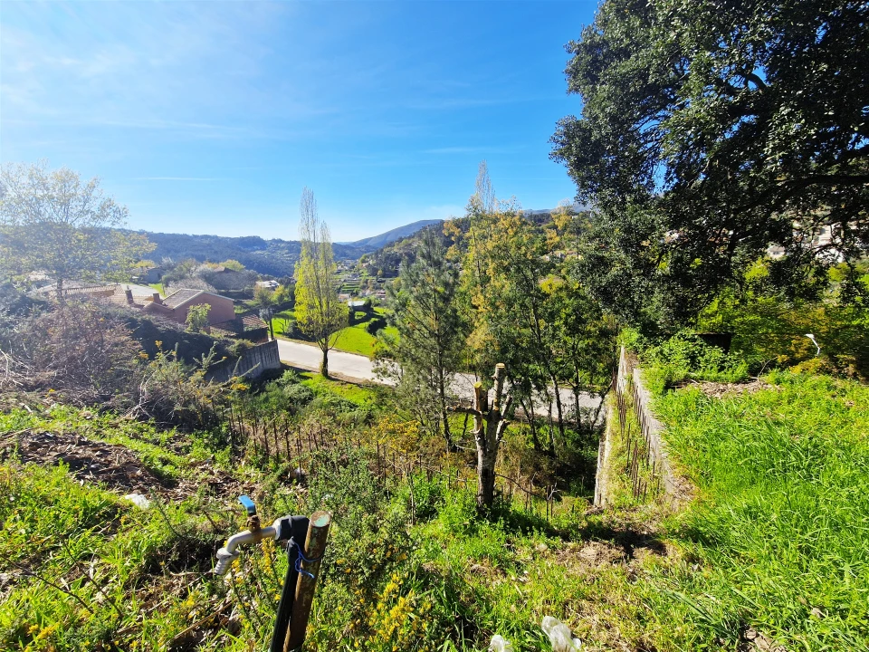 Moradia T4 para Venda em Castro Daire Foto 58