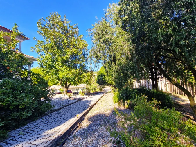 Moradia T4 para Venda em Castro Daire Foto 62