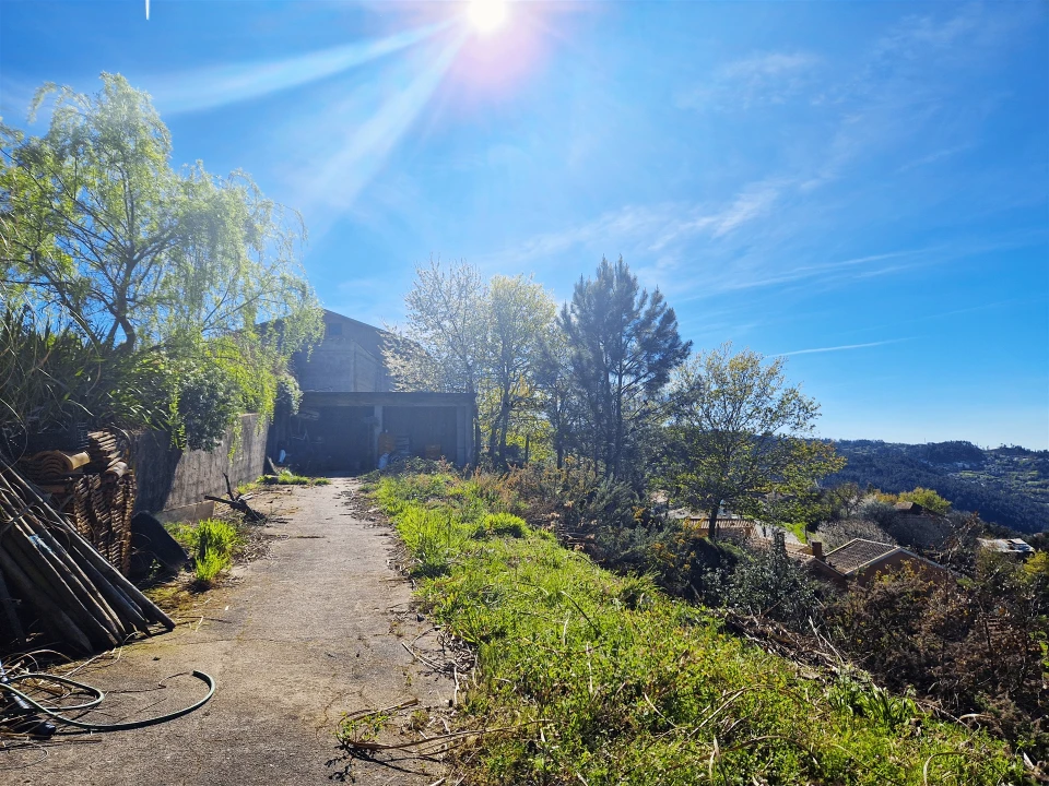 Moradia T4 para Venda em Castro Daire Foto 57