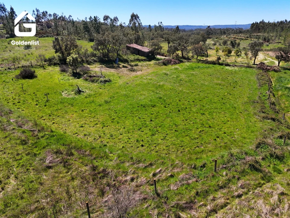Quinta T0 para Venda em Fratel Foto 12