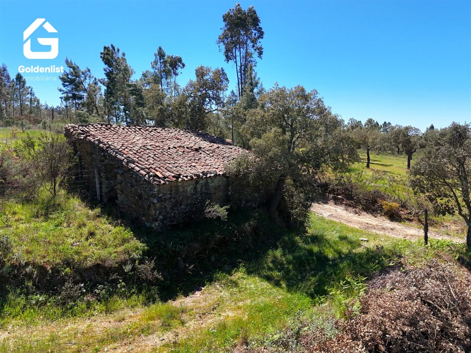 Quinta T0 para Venda em Fratel Foto 13