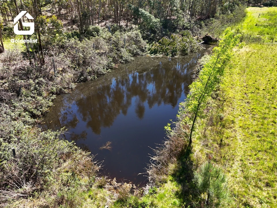 Quinta T0 para Venda em Fratel Foto 10
