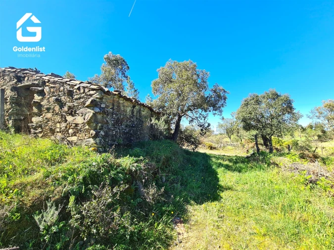 Quinta T0 para Venda em Fratel Foto 6