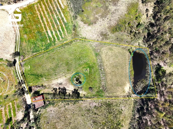 Quinta T0 para Venda em Fratel Foto 20