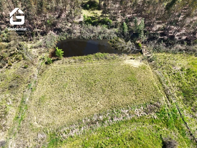 Quinta T0 para Venda em Fratel Foto 18