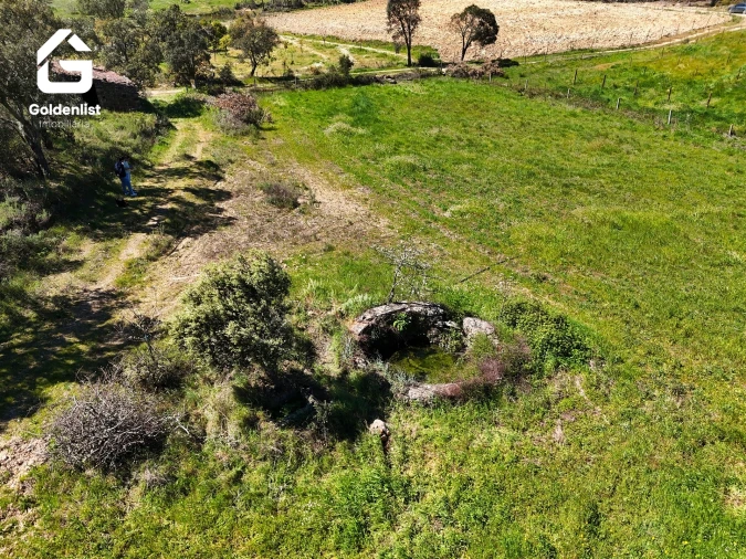 Quinta T0 para Venda em Fratel Foto 16