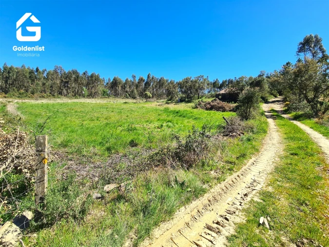 Quinta T0 para Venda em Fratel Foto 8