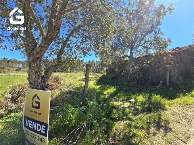 Quinta T0 para Venda em Fratel Foto 22