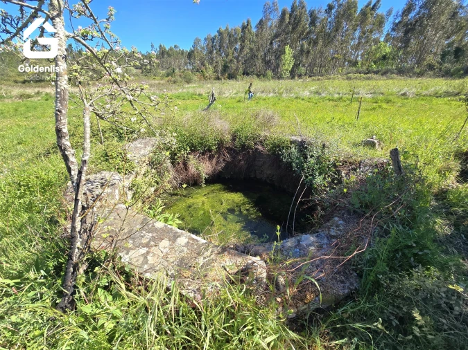 Quinta T0 para Venda em Fratel Foto 23