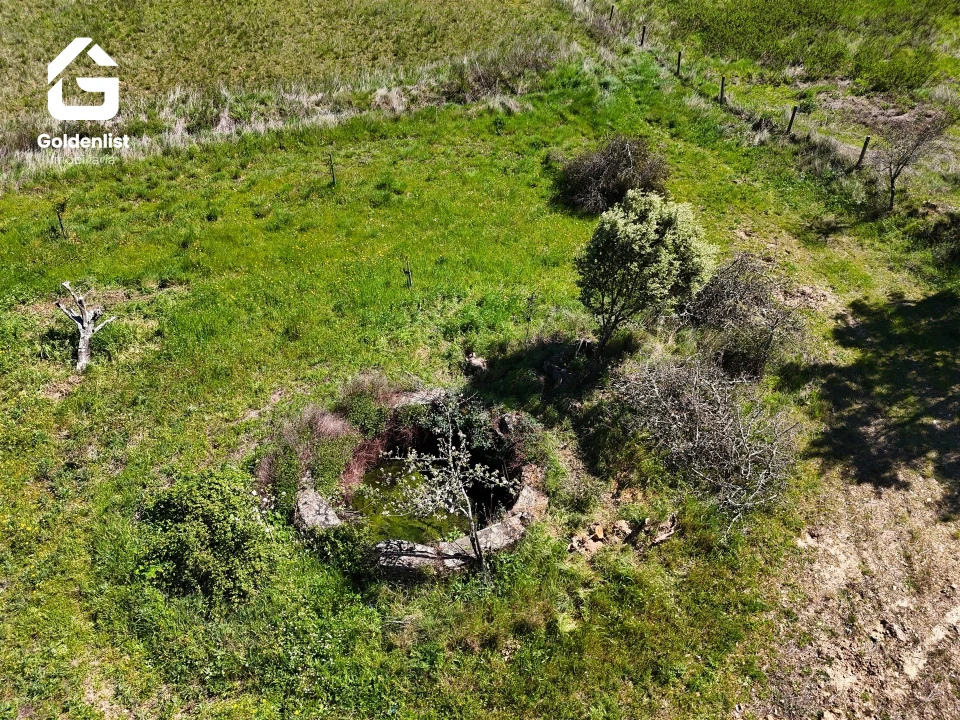 Quinta T0 para Venda em Fratel Foto 14