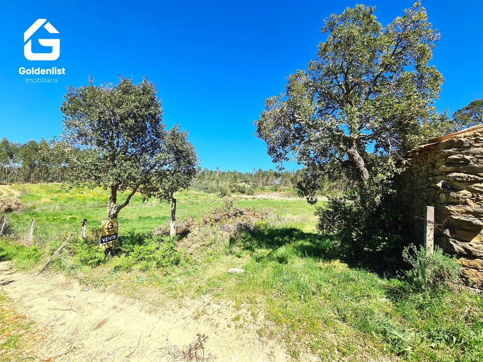 Quinta T0 para Venda em Fratel Foto 9