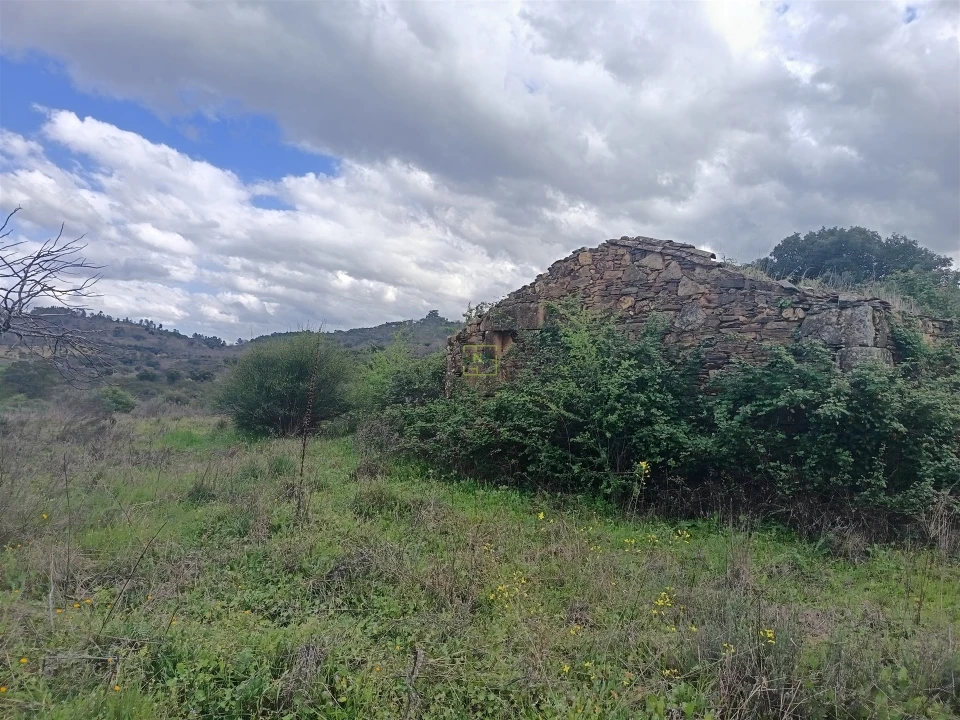 Quinta T0 para Venda em Penamacor Foto 40