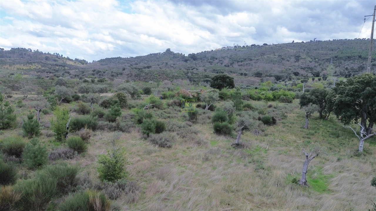 Quinta T0 para Venda em Penamacor Foto 9